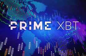 PrimeXBT vs Pocket Option A Comprehensive Comparison of Trading Platforms
