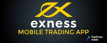 Understanding Exness Forex Broker Features, Trading Options, and Benefits